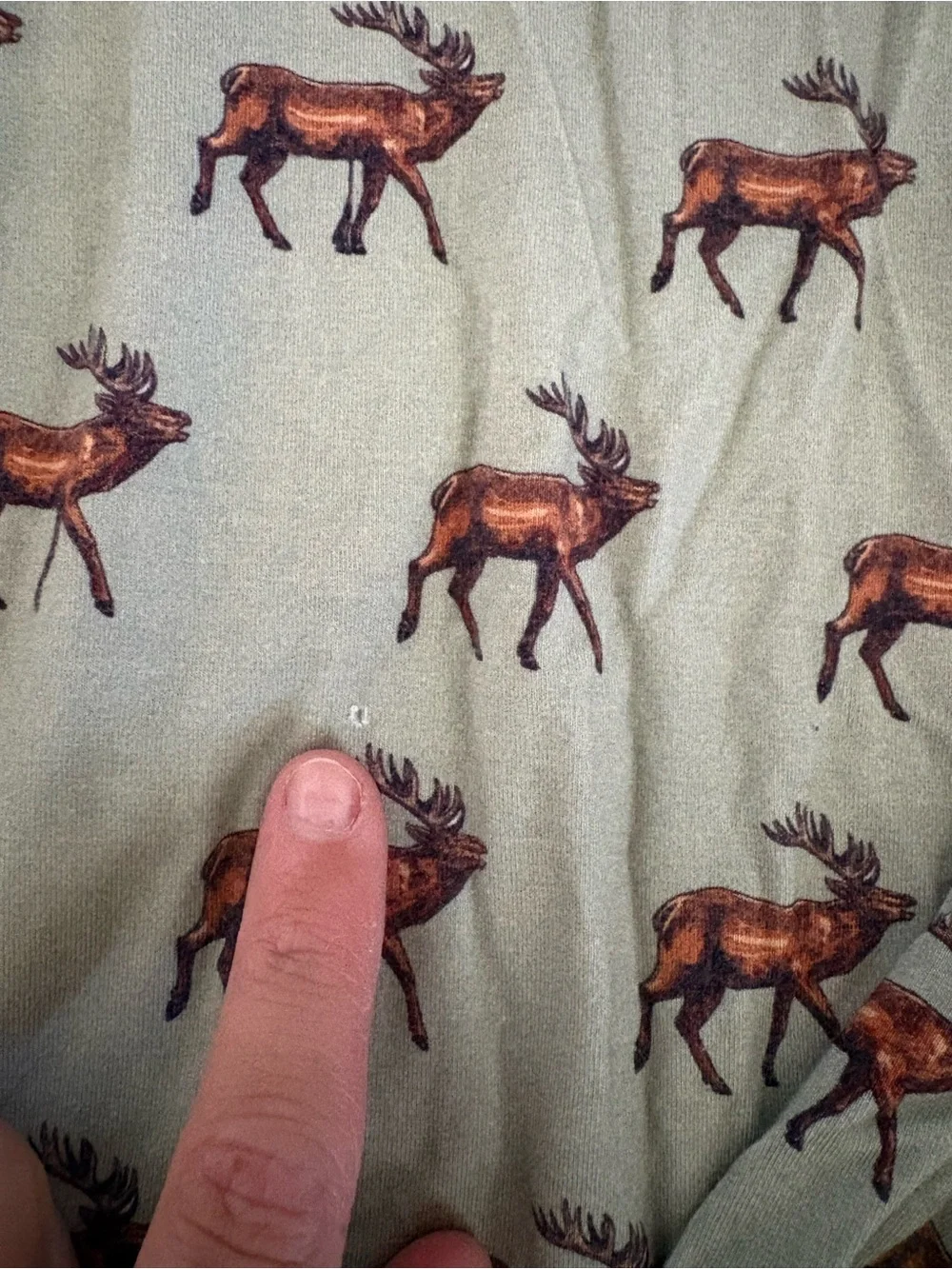 Kids Elk Print Pajama Set - Sage Green with Brown Trim